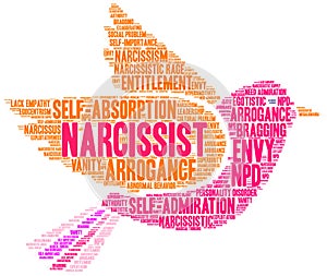 Narcissist Word Cloud