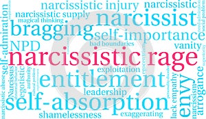 Narcissistic Rage Word Cloud