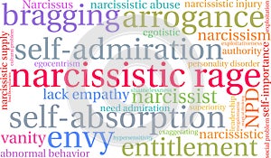 Narcissistic Rage Word Cloud