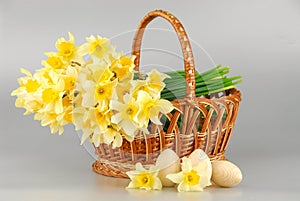 Narcissus basket, easter eggs in basket, spring yellow narcissus flower womens or mothers day