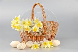 Narcissus basket, easter eggs in basket, spring yellow narcissus flower womens or mothers day