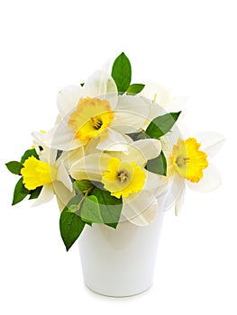 Narcissus bouquet photo