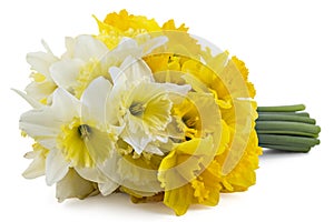 Narcissus bouquet