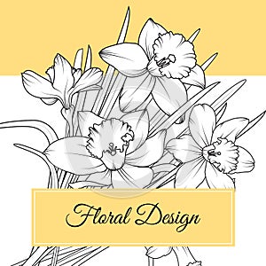 Narcissus daffodil flowers floral design card