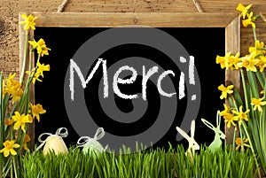 Narcissus, Easter Egg, Bunny, Merci Means Thank You