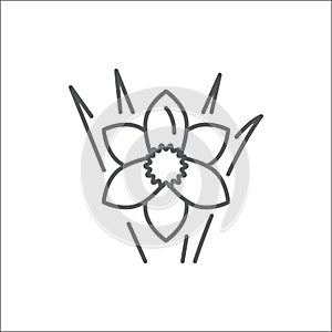 Narcissus editable line icon - beautiful spring flower pixel perfect vector illustration isolated on white background.