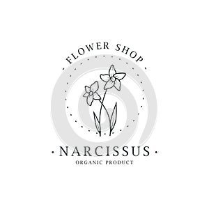 Narcissus flower. Logo for spa and beauty salon, boutique, organic shop, wedding, floral designer, interior, photography