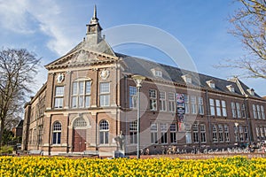 Narcissus flowers in front of the museum in Veendam