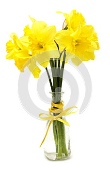 Narcissus flowers posy in vase