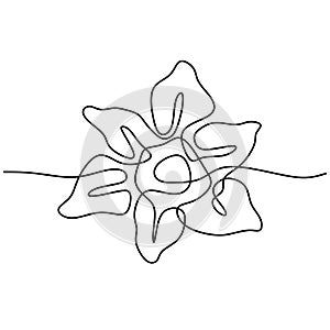 Narcissus one continuous line drawing flower. Suissen or Daffodil flower symbol of spring, youth, easter, ornament hand-drawn