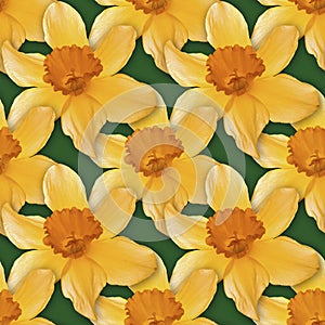 Narcissus Seamless Texture