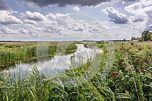 Narew National Park in Poland