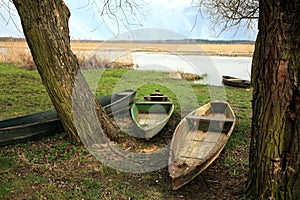 Narew National Park â€“ Poland. Wooden boat.