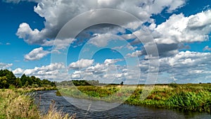 Narew river