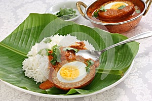 Nargisi kofta curry and rice, indian cuisine