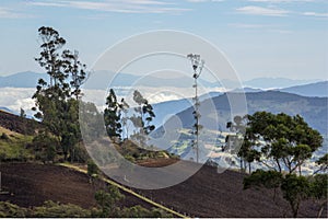 NariÃÂ±o, land of colors and many contrasts photo