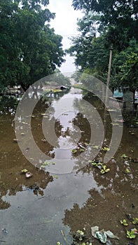 Narmada river swelled by heavy rain