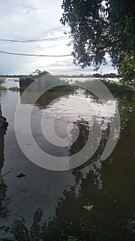 Narmada river swelled by heavy rain