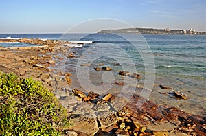 Narrabeen Beach View