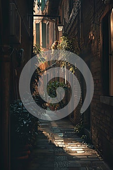 A narrow alley, cool and dim, yet touched by soft sunlight and shadows that tell tales of the day\'s end