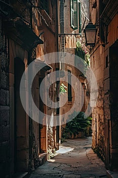 A narrow alley, cool and dim, yet touched by soft sunlight and shadows that tell tales of the day\'s end