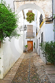 Narrow alley in Juderia district, Cordoba, Spain photo