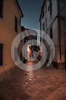 Narrow Alley With Old Houses In The Village Fazana In Croatia