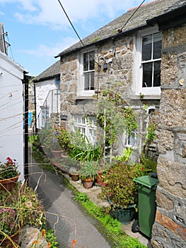 Narrow alley with plants in Mousehole Cornwall England photo