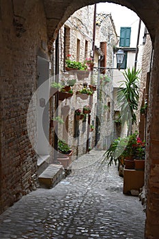 Narrow alley in Torre di Palme photo