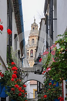 Narrow alleyway decorated with flowerpots in Cordoba