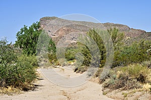 Narrow Arizona desert arroyo