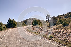 Narrow asphalt mountain road