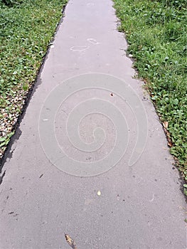 Narrow asphalt pavement. Small walkway amid green grass lawn. Abstract gray background Free focus. Pedestrian path in