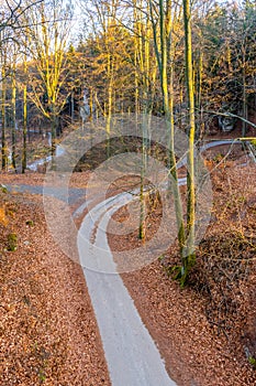 Narrow asphalt road serpentines winding through beech forest