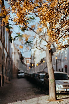 Narrow autumnal street of Lisbon. Lisboa Lissabon photo