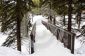 Narrow Bridge along a Footpath Through a Snowy Forest