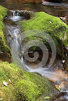 Narrow brook flowing down