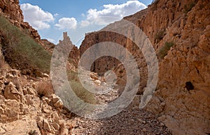 Narrow canyon of a dry wadi in Judaean Desert, Israel.