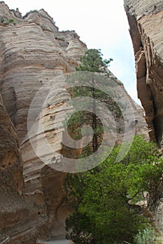 A narrow canyon on Kasha-Katuwe/Tent Rocks National Monument