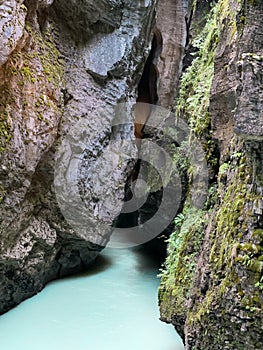 Narrow canyon with moss with turquoise mountain river water below, Aare Gorge, Switzerland