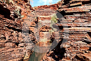 Narrow canyon walls with small river in Karijini, Australia