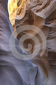 Narrow canyons of Utah`s Little Wild Horse Canyon