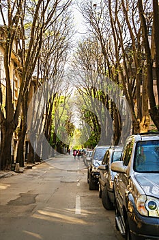 Narrow city street with a lot of cars parked on the roadside under the canopy of old trees on a sunny spring day. Dimension