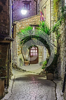 Narrow cobbled street with flowers in the old village Tourrettes-sur-Loup at night, France.