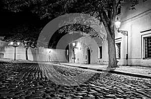 Narrow cobbled street in old medieval town with illuminated houses by vintage street lamps, Novy svet, Prague, Czech