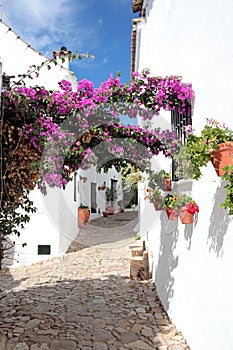 Narrow, cobbled streets and houses of Spanish Pueblo