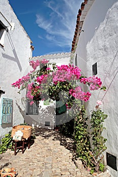 Narrow, cobbled streets and houses of Spanish Pueblo