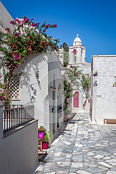 Narrow cobblestone alley with and bougainvilleas and whitewashed buildings in Pyrgos, Tinos Island, Cyclades, Greece.