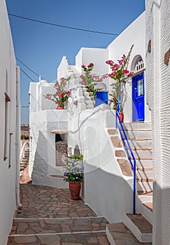 Narrow cobblestone alley, whitewashed houses with flowers in Volax, Tinos Island, Cyclades, Greece