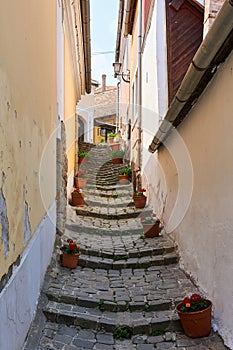 Narrow cobblestone street with steps in Medieval town lined with flower pots